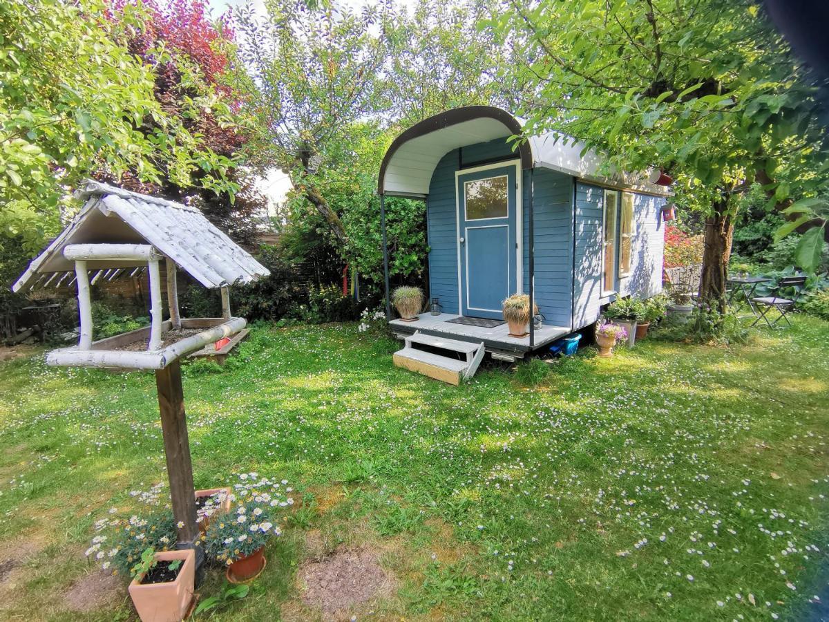Schaferwagen Homestay